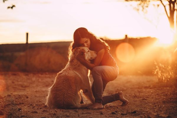 owner holding their dog's paw